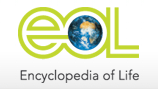 eol_logo_header.png