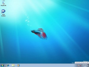 This is the way the default desktop looks after install.
